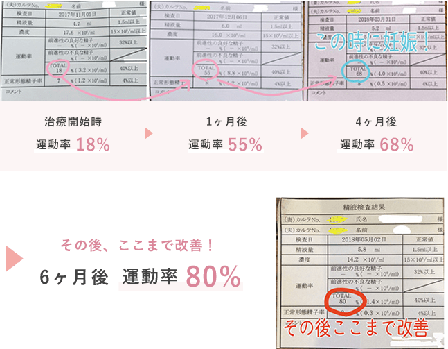 6ヶ月後　運動率80%