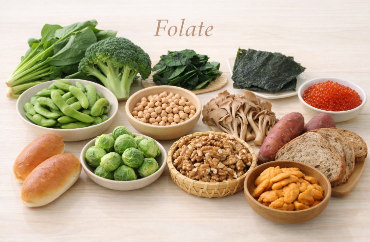 葉酸食材イメージ画像