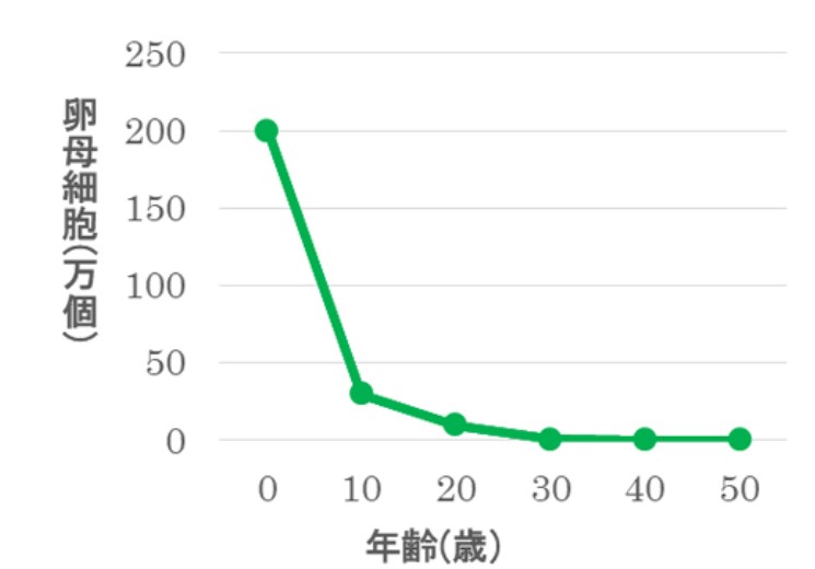 卵子細胞の数・東邦大学