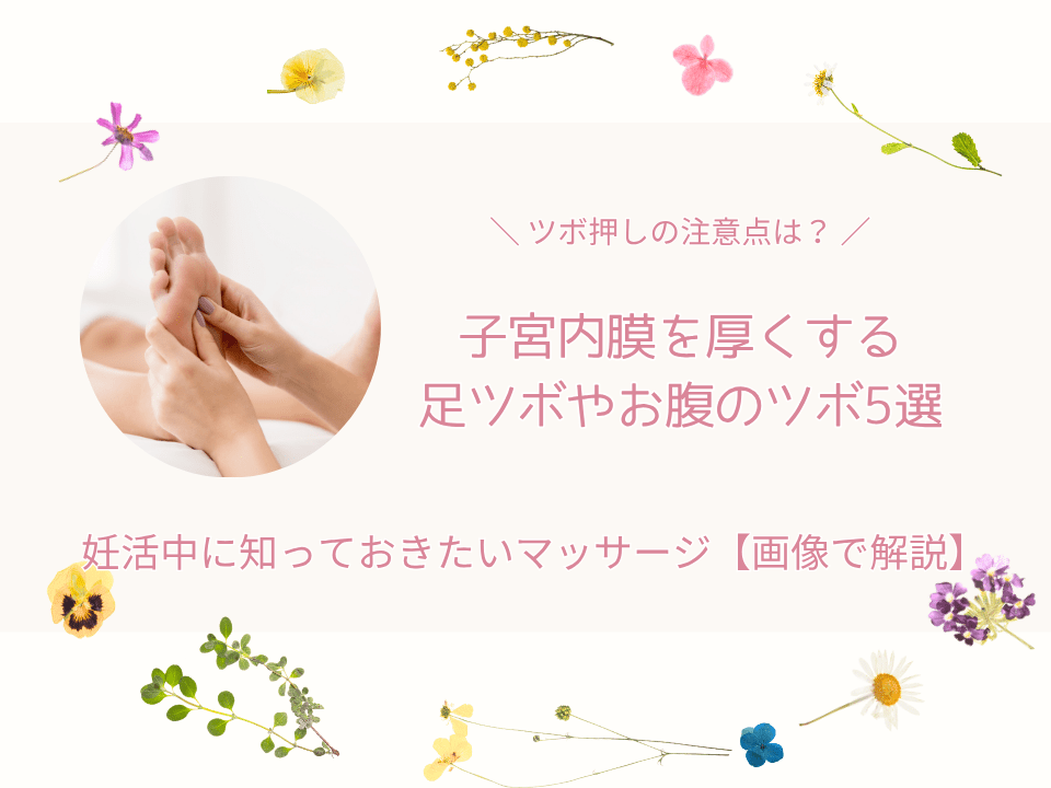 子宮内膜を厚くするツボ